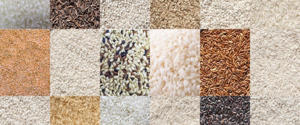 NO TODOS LOS ARROCES SON IGUALES