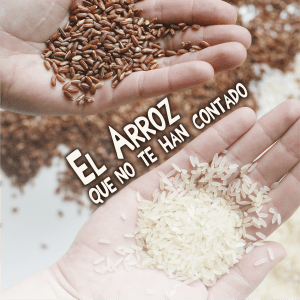 Taller experiencial: El Arroz que no te han contado