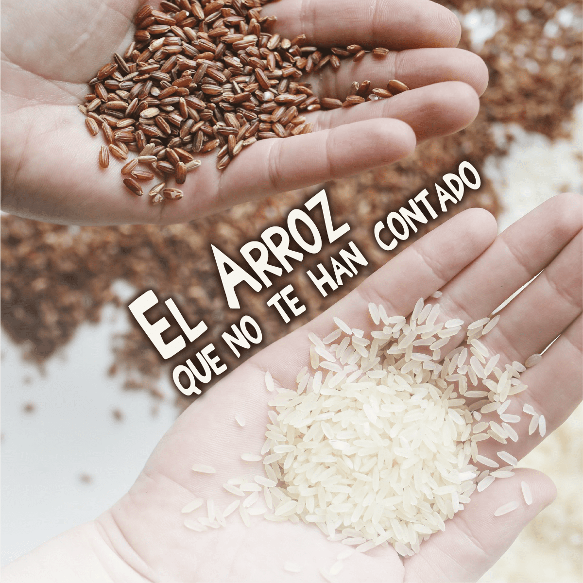 Taller experiencial: El Arroz que no te han contado